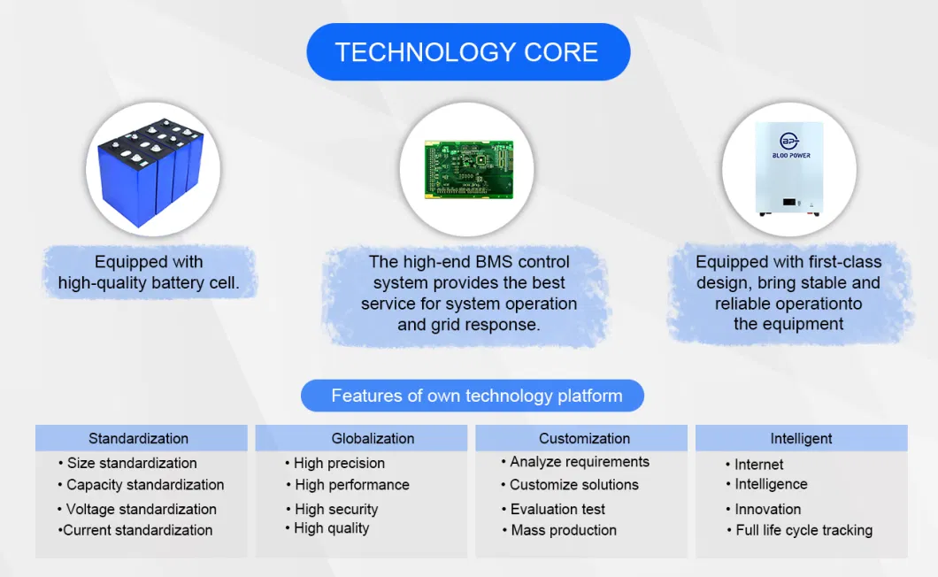 Bloopower 10kwh 100ah Li-ion Ess Smart Wall System Household House PV Energy Storage Rechargeable in Home LiFePO Module Enclosure Battery Power Bank